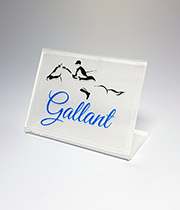 3" x 2 1/4" x 1/8" DESKTOP DISPLAYS ACRYLIC AWARD